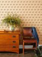 Chubby Bear  Kraft Wallpaper by Tea Collection - Taupe Hot on Sale