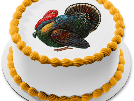 Happy Thanksgiving Colorful Turkey Edible Cake Topper Image ABPID07019 Online Hot Sale