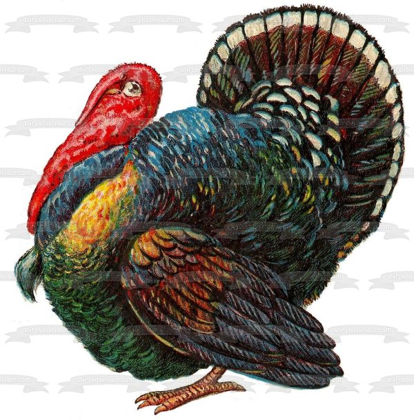 Happy Thanksgiving Colorful Turkey Edible Cake Topper Image ABPID07019 Online Hot Sale