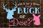 Baby Shower Will It Be a Buck or Doe Pink Doe Blue Buck Edible Cake Topper Image ABPID06660 Online now