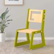 Blue Apple Chair (Green) COD not available Online Sale