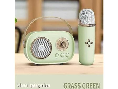 C20 Portable Green Karaoke with Bluetooth Speaker and Wireless Microphone on Sale