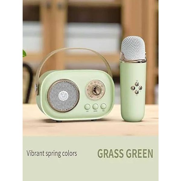 C20 Portable Green Karaoke with Bluetooth Speaker and Wireless Microphone on Sale