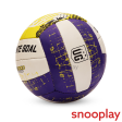 Blue Volleyball (Size 5) | 10+ Years Discount