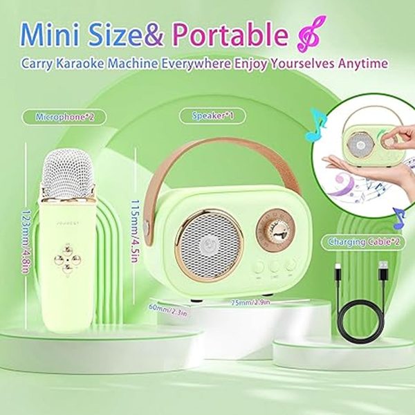 C20 Portable Green Karaoke with Bluetooth Speaker and Wireless Microphone on Sale