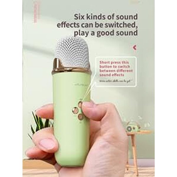 C20 Portable Green Karaoke with Bluetooth Speaker and Wireless Microphone on Sale