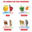 Big Flash Cards Fruits, Vegetables and Animals (Set of 3)| 96 Cards Supply