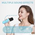 Blue Dinosaur Karaoke Portable Machine with 2 Microphones Hot on Sale