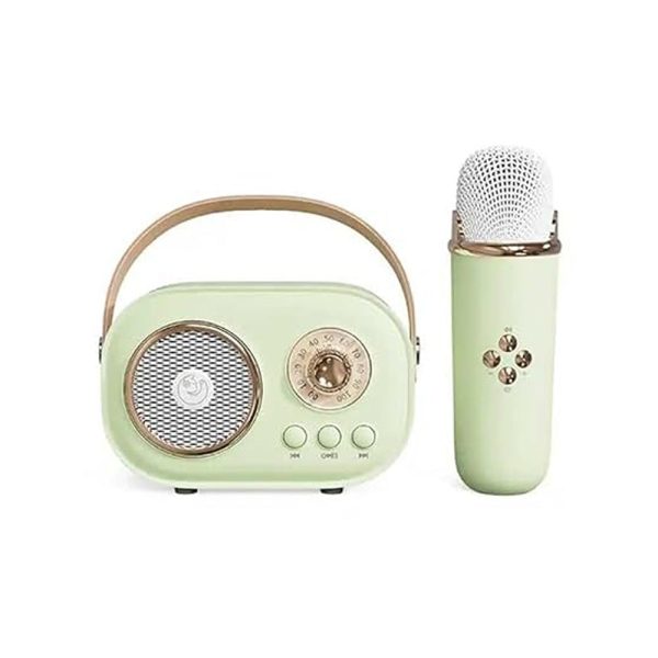 C20 Portable Green Karaoke with Bluetooth Speaker and Wireless Microphone on Sale