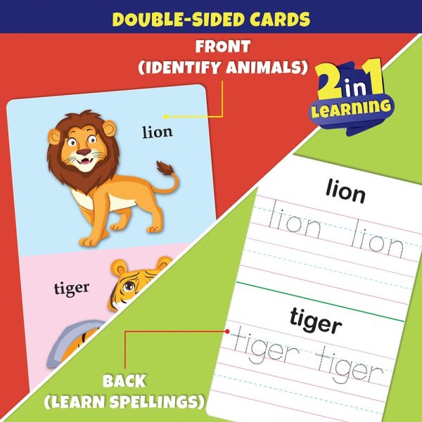 Animals Write & Wipe Jumbo Flash Cards with Marker Pen Sale