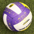 Blue Volleyball (Size 5) | 10+ Years Discount