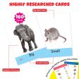 Big Flashcards ABC, Number, Transport, Opposite, Sight Word (Set of 5) | 160 Cards Sale