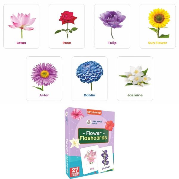 Flash Cards for Kids (Set of 12) 3 Months to 6 Years Babies (Combo Set) Online Hot Sale