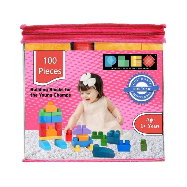 Building & Construction Blocks Educational Toy (Pink Bag - 100 Pieces) Supply