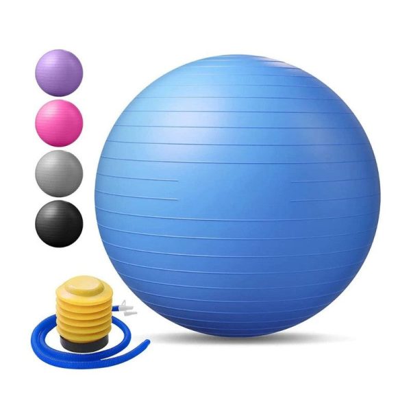 65 CM Gym Ball with Pump (Assorted Colours) For Discount