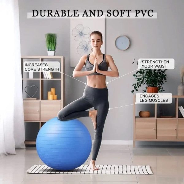 65 CM Gym Ball with Pump (Assorted Colours) For Discount