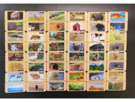 Animals and their habitat Flash Card Cheap