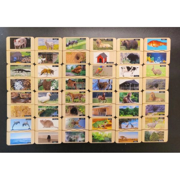 Animals and their habitat Flash Card Cheap