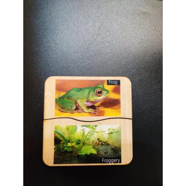 Animals and their habitat Flash Card Cheap