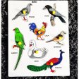 Birds Peg Puzzle Supply