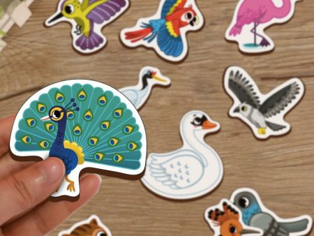 Birds Wooden Fridge Magnets (Set of 10) on Sale