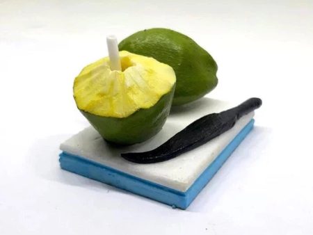 3D Fridge Magnet Coconut Water Discount